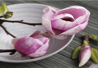 Magnolia on a Bowl
