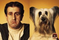 Dog and owner 3
