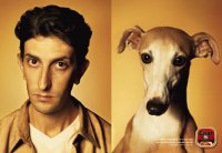 Dog and owner 4