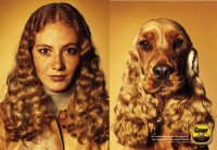 Dog and owner 5