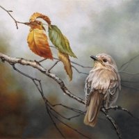 naturaleza