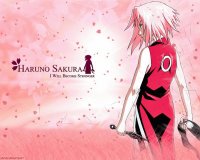 sakura
