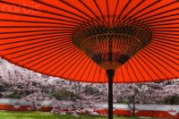 Japon