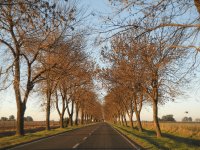 por el camino