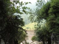 View Album