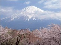 Mount Fuji in Springtime Japan
