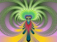 plumes