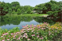 Central Park New York