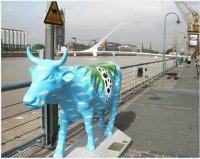 Buenos Aires, Argentina 2006