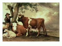 Paulus Potter the young Bull