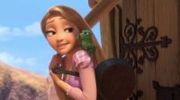 Tangled