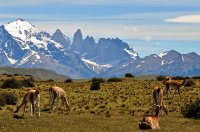 chile