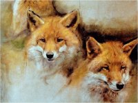 Rien Poortvliet famous Dutch painter