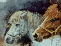 Rien Poortvliet famous Dutch painter