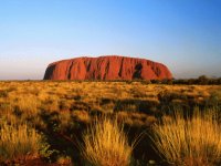Uluru Ayers Rock with desert vegatation