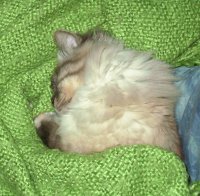 nap time