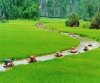 Between the ricefields Vietnam