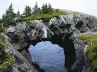 The Berry Head Bow Canada