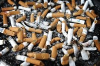 To avoid CANCER, don 't smoke !!!