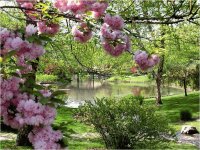 Beautiful Garden