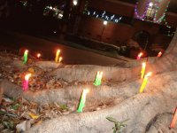NOHES DE LUCES