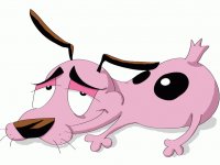 corag