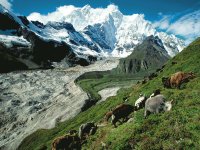 Glacier in Tibet