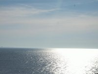 View Album