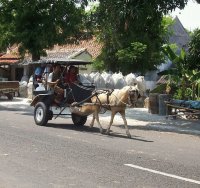 Dokar in Indonesia