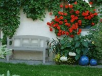 Lovely seat in the Garden