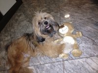 Toby