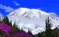 Mount Rainier Nat. Park Washington USA