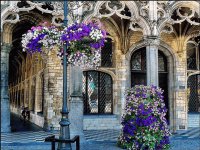 City Hall Street Belgium