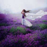 Lavender