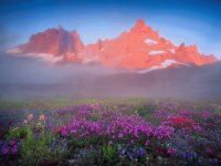 Mist Mountain colors Oregon