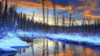 Sunset at the Creek