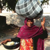 Transportation Laundry in India