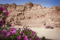 Petra Theater Jordan