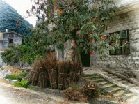 Chinese Farmhouse Anhui China