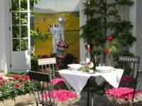Roses exhibition Lottum Limburg the Netherlands