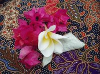 Kembang Kertas and Kamboja Melasti ceremonie