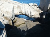 Sea Albany WA