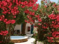 Amorgos Garden Rhodes Greece