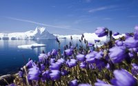 Spring in the Pole area