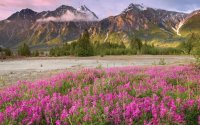 Wilderness British Colombia Canada