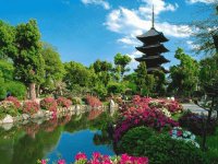 Toji Temple Kyoto Japan