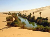 Oasis in the Sahara