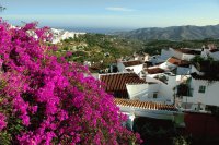 Colorful Andalucia Spain