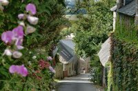 Beautiful Street Bretagne France