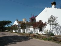 Donana